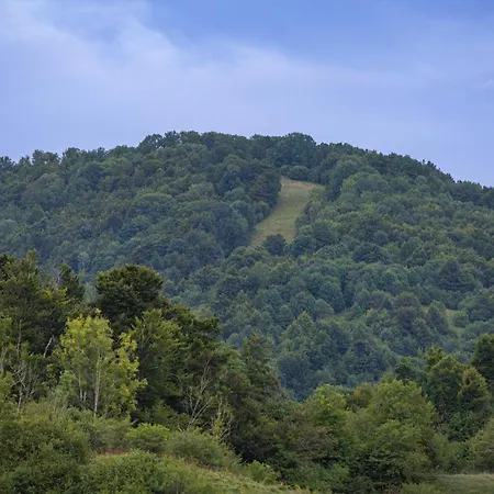 Silver House - Away From Vilă