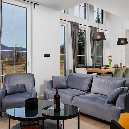 Silver House - Vila *