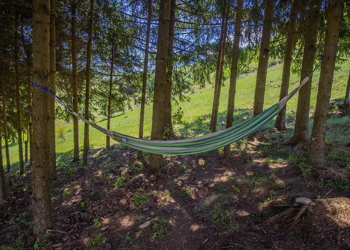 Silver House - Villa Mrkopalj