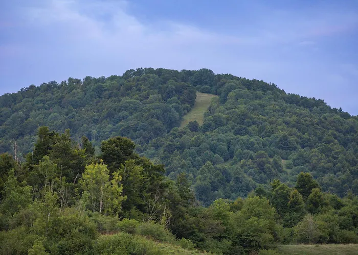 Silver House - Villa